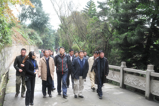 1517191854434040070.jpg 1.jpg