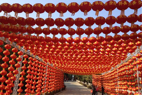 1517192118370005465.jpg 4.jpg